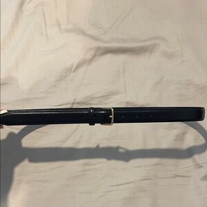 Aritzia Black Belt with Gold Buckle